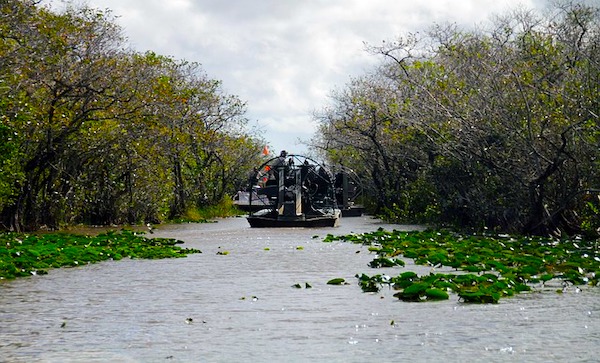 Everglades Miami