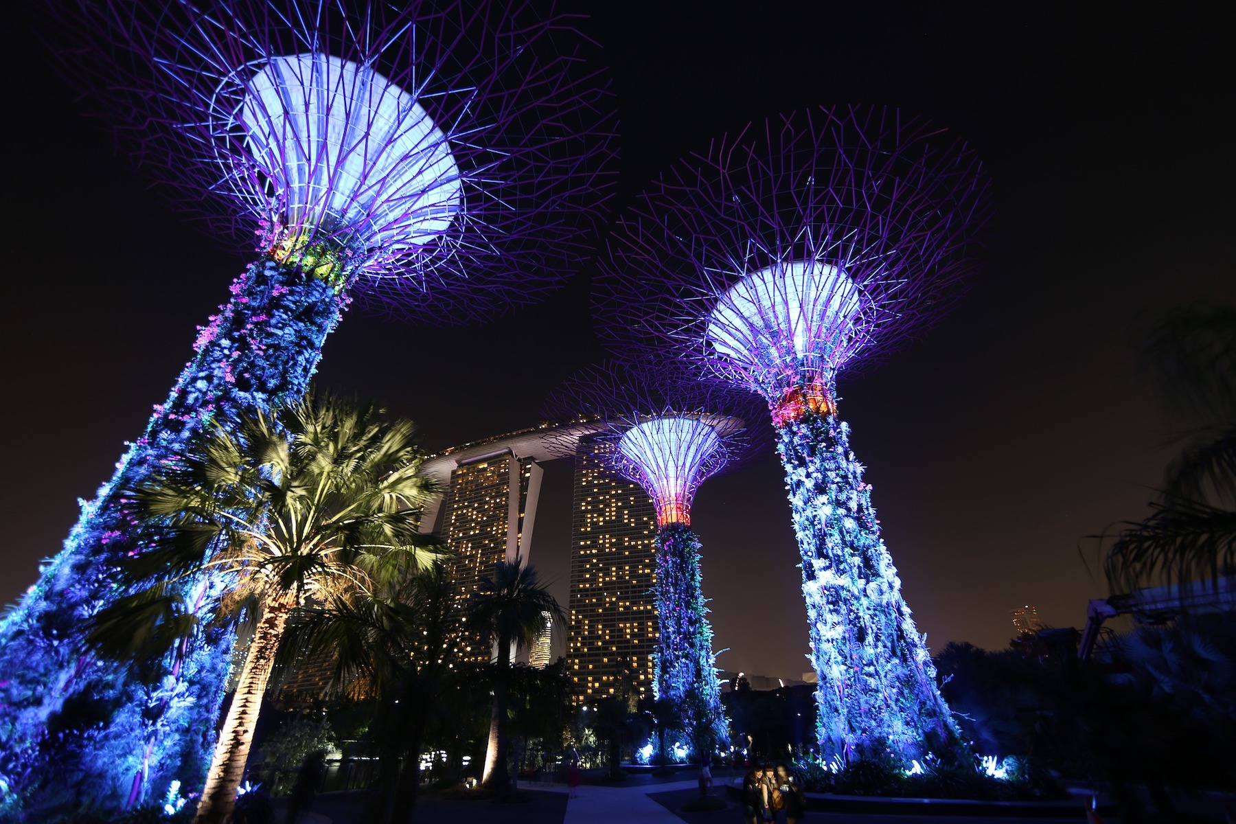 Garden by the bay