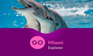 Miami explorer pass