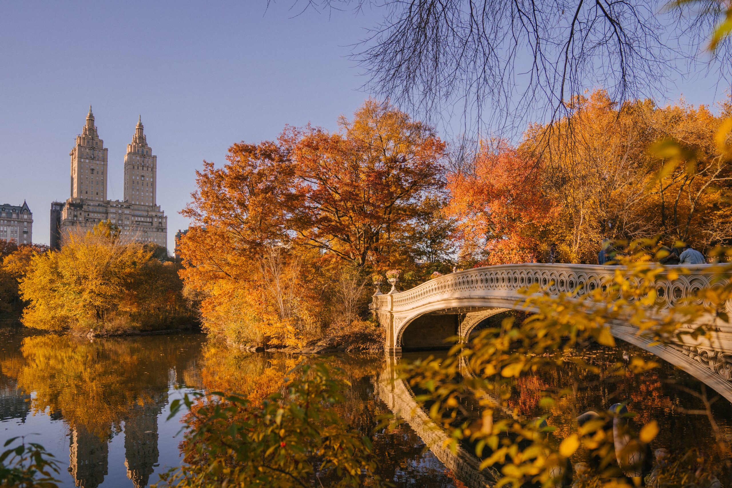 vélo central park 