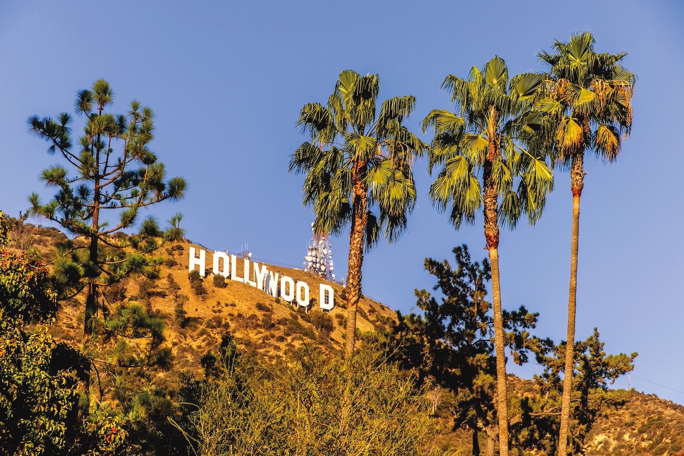 Vue sur la colline hollywood